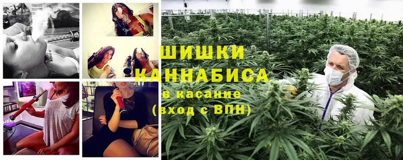 Шишки марихуана THC 21%  мега ссылки  Закаменск  дарнет шоп 